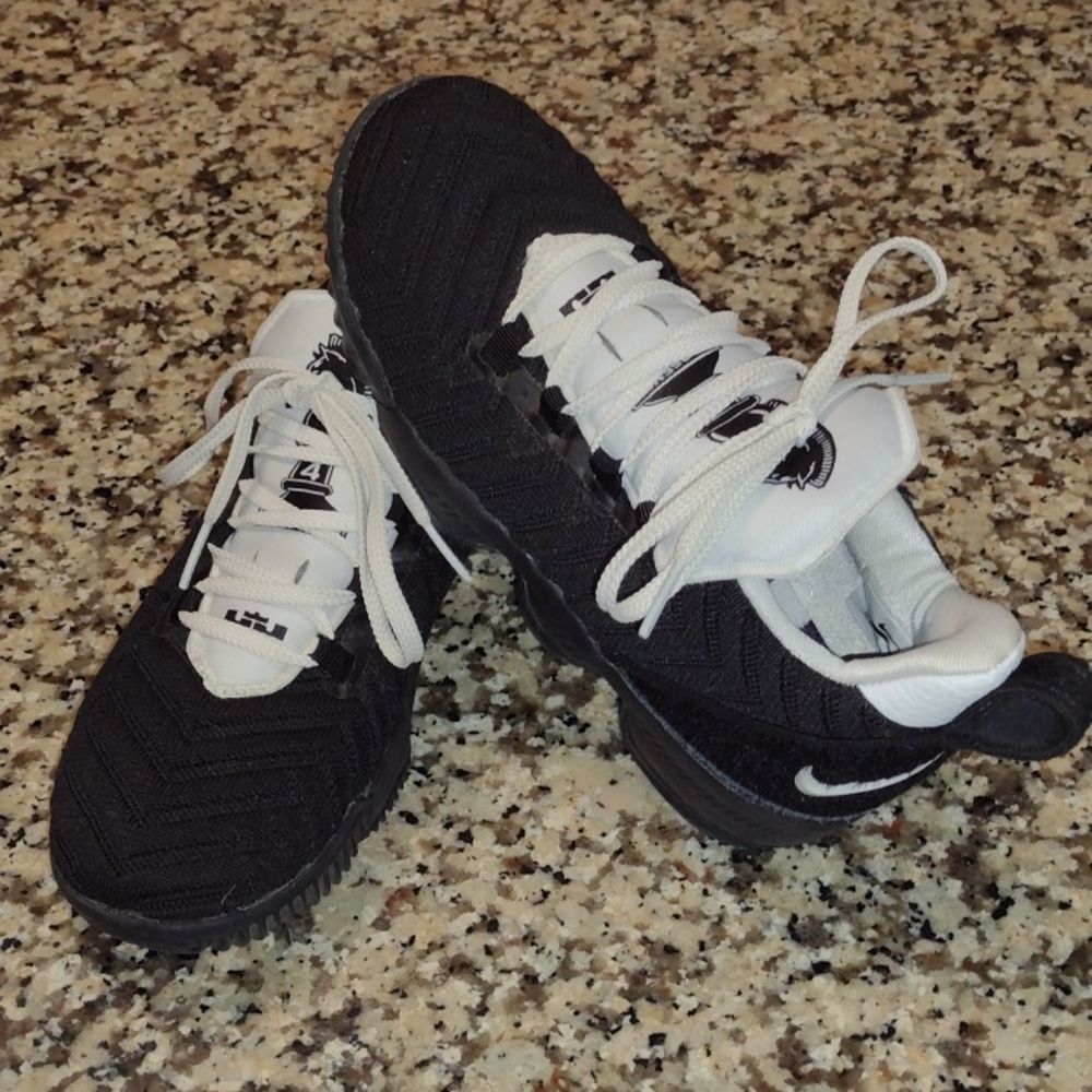 Nike Lebron sneakers.